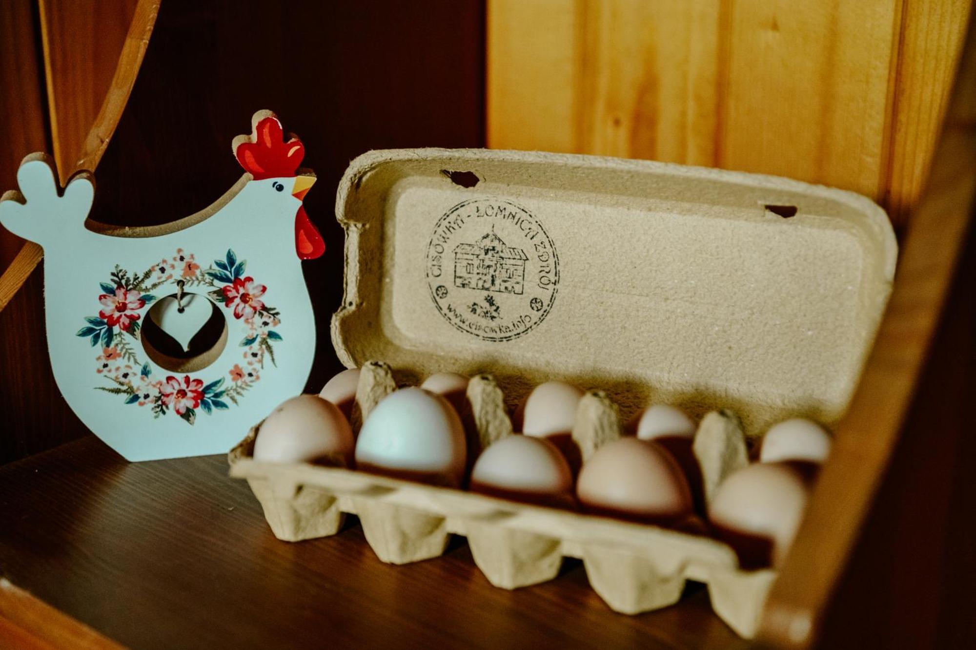 Cisowka Pokoje Goscinne Piwniczna-Zdroj Ngoại thất bức ảnh